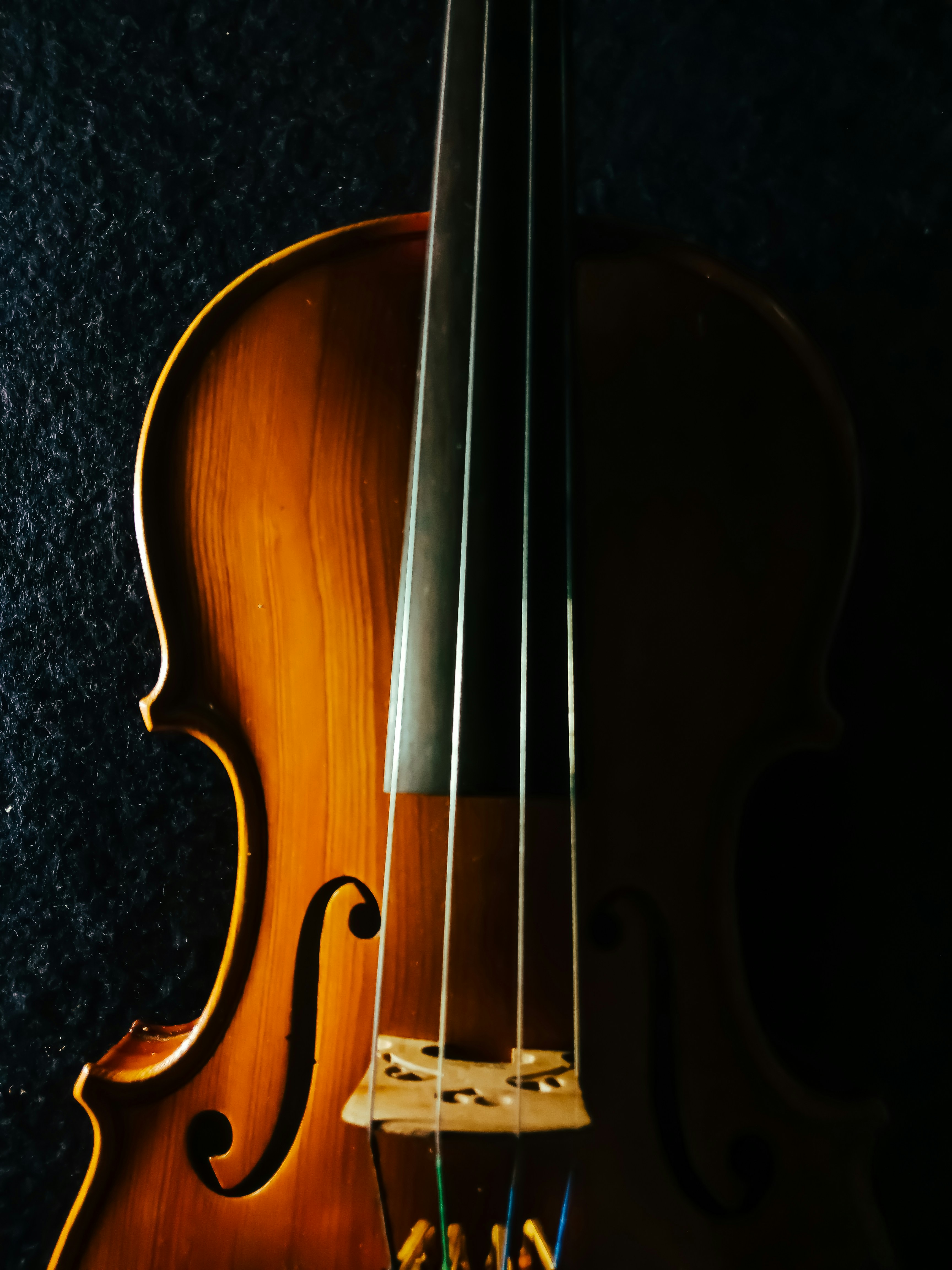Violon